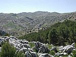 Sierra de las Nieves