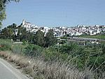 Alozaina