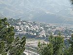 Los Pinos