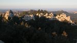 Rundblick