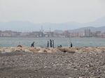 Angler vor der Stadt