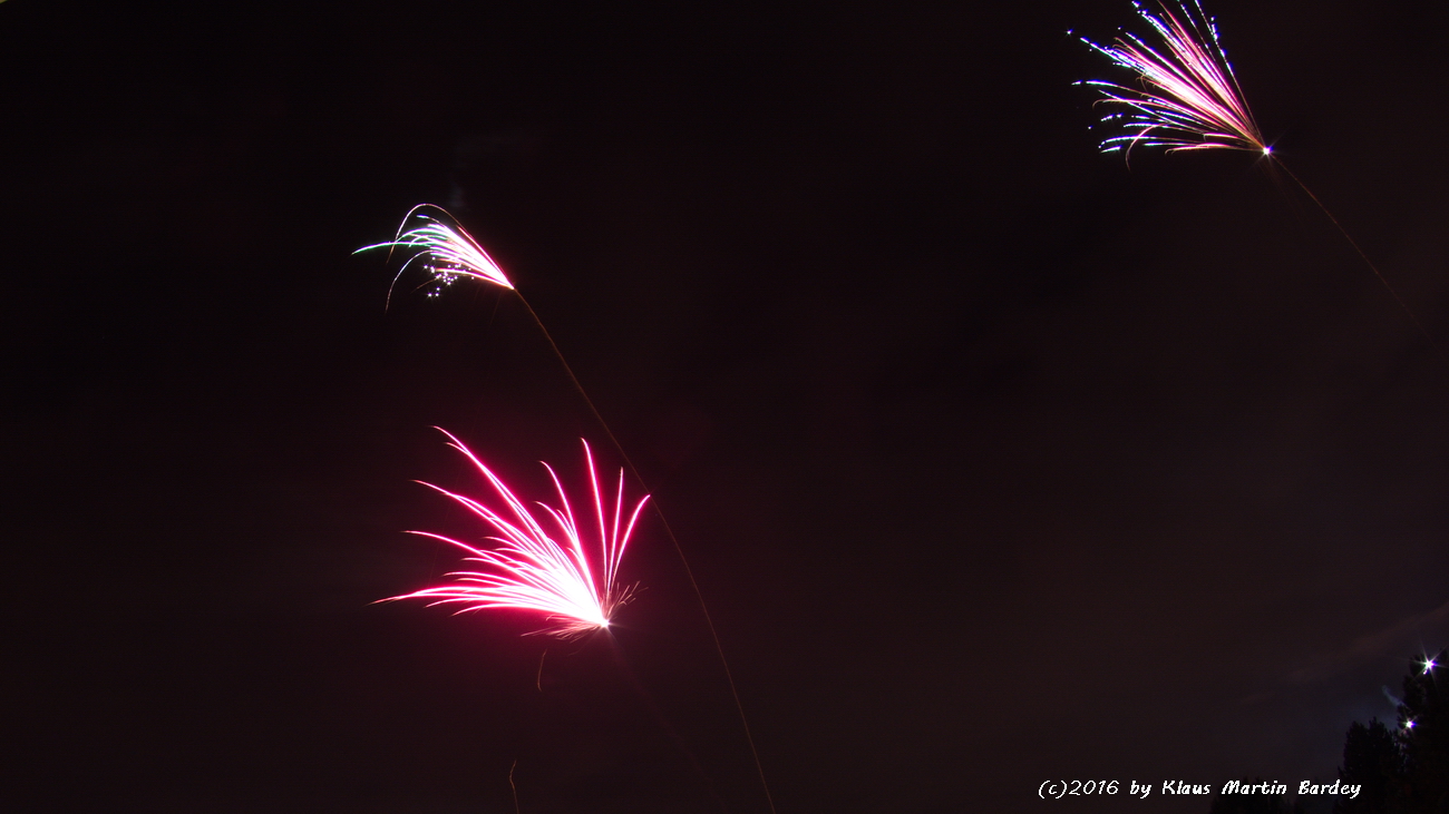 Feuerwerk Waldpark Eisingen