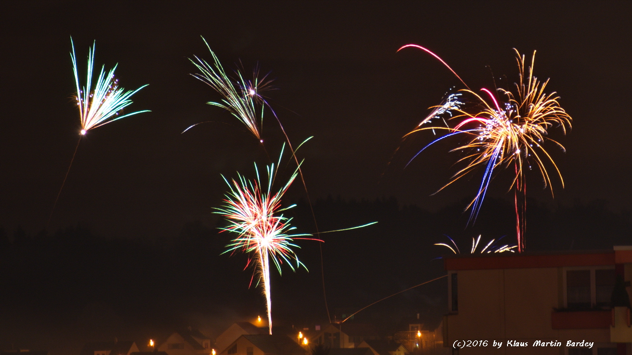 Feuerwerk Waldpark Eisingen