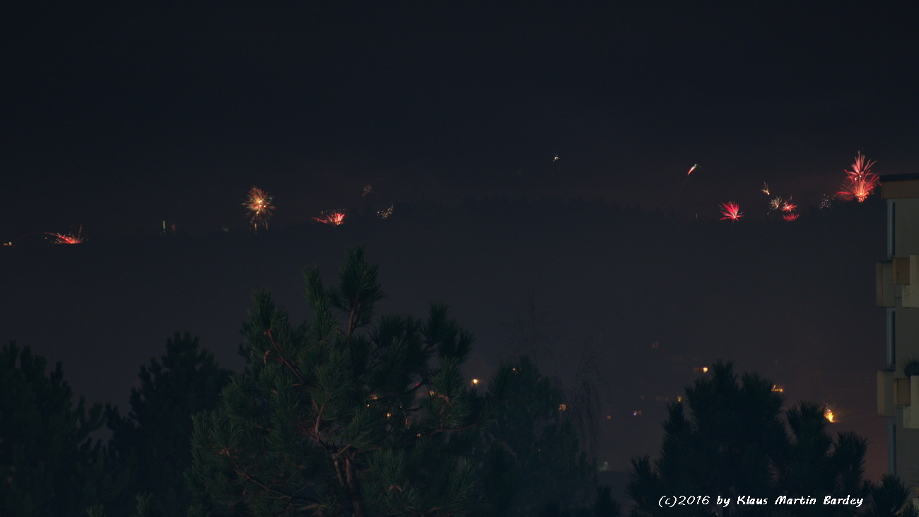 Feuerwerk Waldpark Eisingen