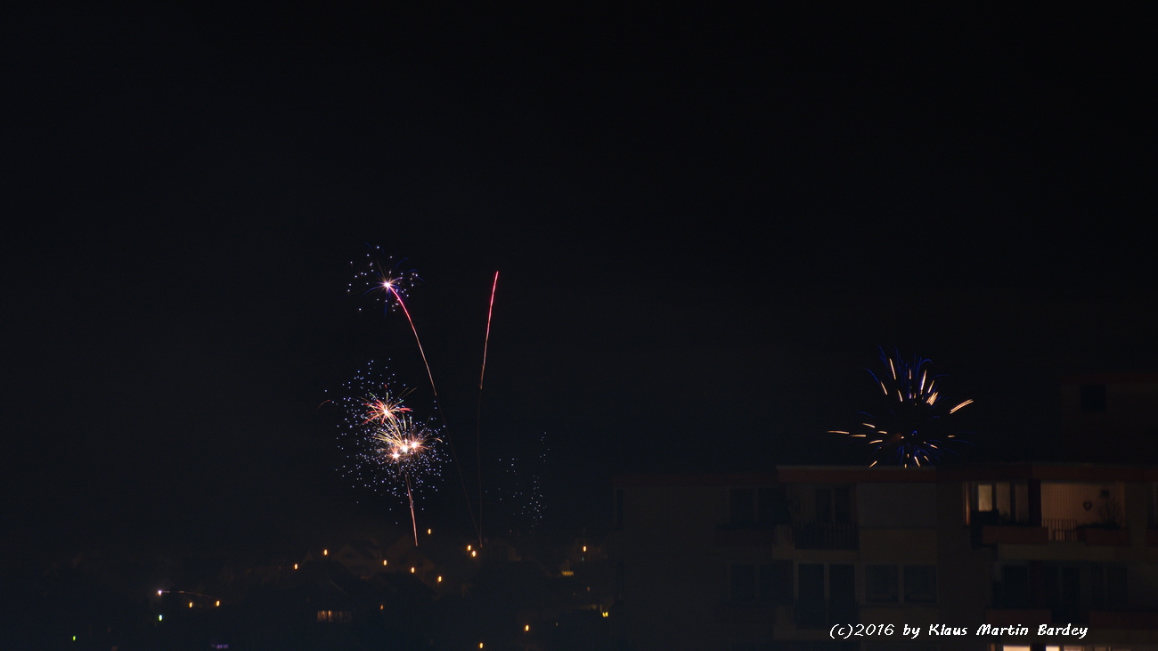 Feuerwerk Waldpark Eisingen
