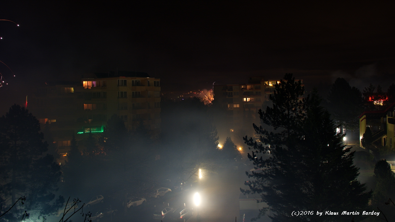Feuerwerk Waldpark Eisingen