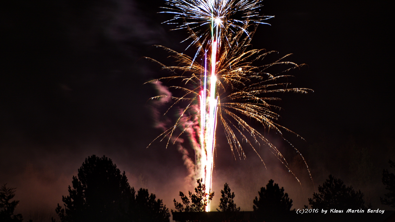 Feuerwerk Waldpark Eisingen