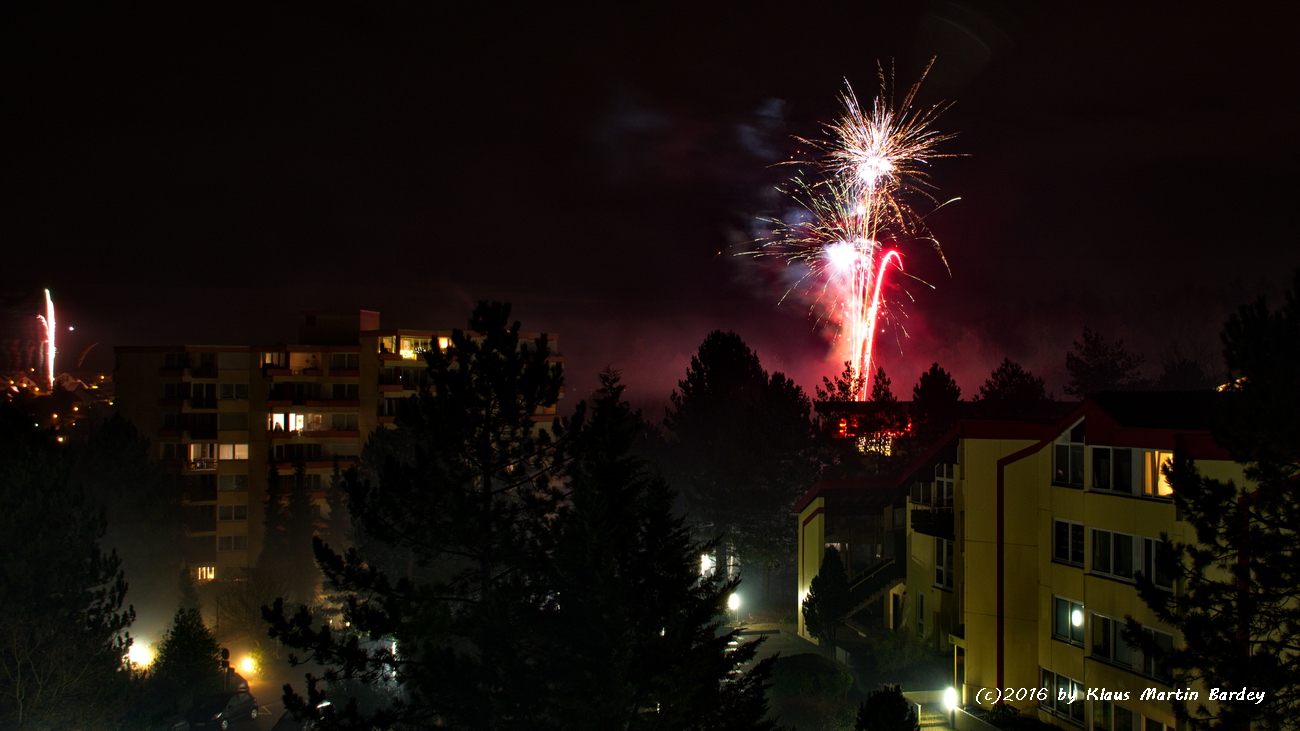 Feuerwerk Waldpark Eisingen