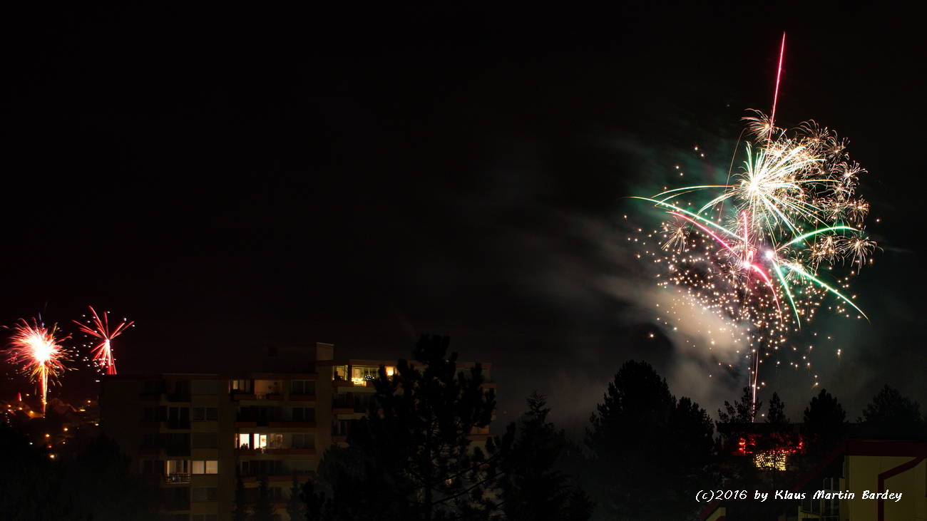 Feuerwerk Waldpark Eisingen